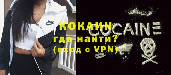 стафф Арсеньев