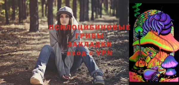 ГАЛЛЮЦИНОГЕННЫЕ ГРИБЫ Алексин